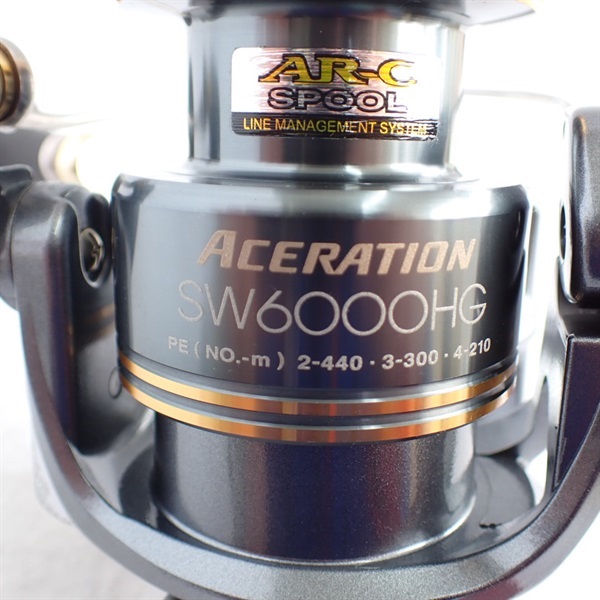 １０アセレーションＳＷ６０００ＨＧ
